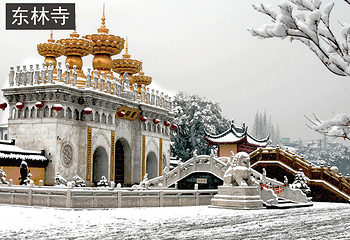精彩上海旅游联票第 6 张图片