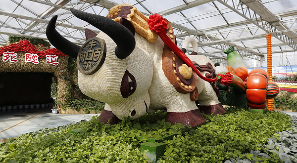 贵阳农业嘉年华