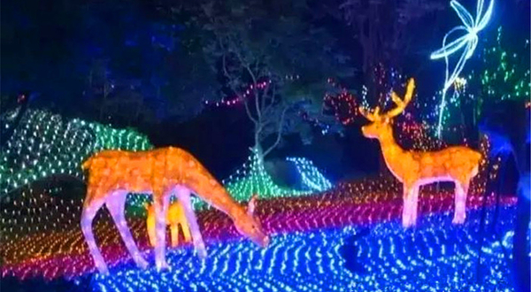 神龙湖度假村梦幻灯光节