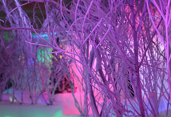 长津冰雪梦幻王国第 17 张图片
