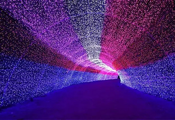 洪洞首届国际梦幻灯光节第 7 张图片