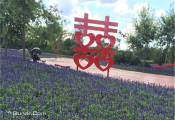 丁香科技博览园薰衣草观赏/花海节第 7 张图片
