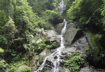 寿山石古矿洞第 6 张图片