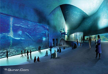 丹麦国立水族馆第 2 张图片