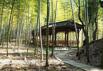 沟村旅游度假区第 1 张图片