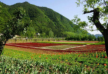 三峡奇潭第 12 张图片
