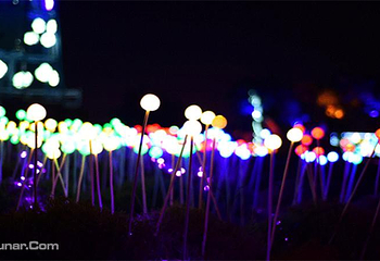 牛家村灯光节第 8 张图片