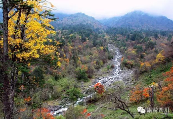 二郎山喇叭河风景区第 46 张图片