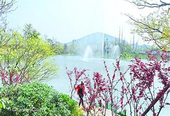 阳山桃花岛景观公园第 2 张图片