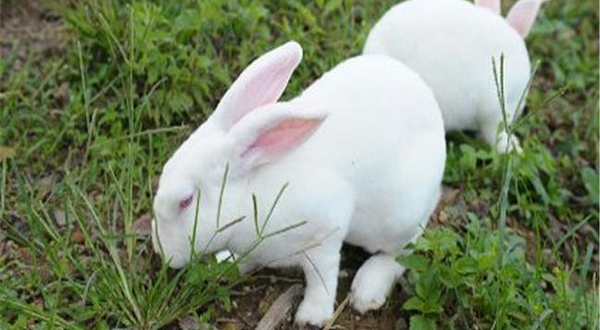 休闲农园一园一品（昌平店）