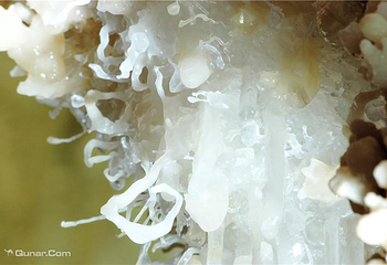 巴马水晶宫第 18 张图片