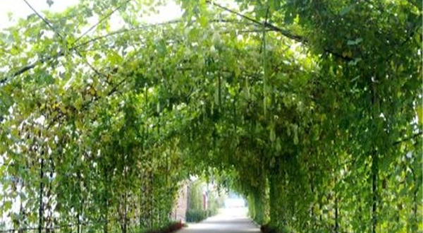 休闲农园一园一品（房山店）