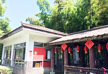 龙背山森林公园第 7 张图片