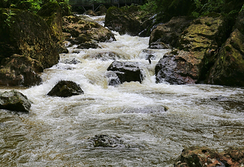 二郎山喇叭河风景区第 41 张图片