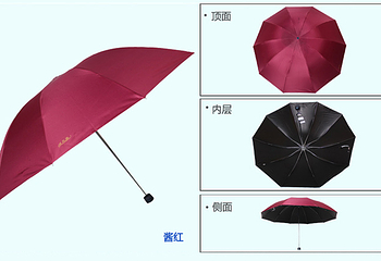 天堂伞第 7 张图片