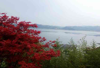 太子岛第 2 张图片