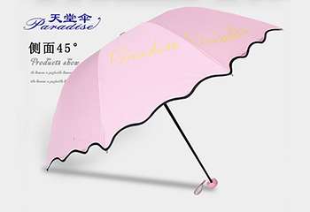 天堂伞第 4 张图片