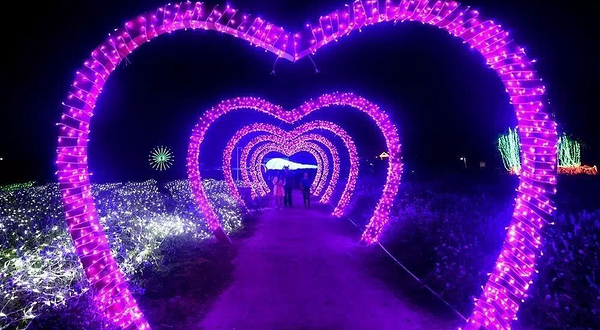 西双版纳傣族自治州民族博物馆国际灯光节