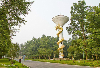 中国扬子鳄景区第 13 张图片