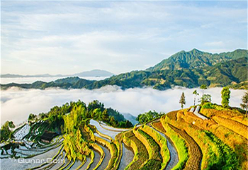 红辣椒自驾游护照第 3 张图片