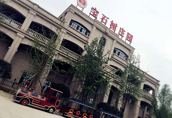富顺金竹花田第 3 张图片