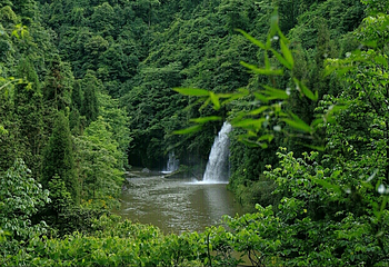 二郎山喇叭河风景区第 39 张图片