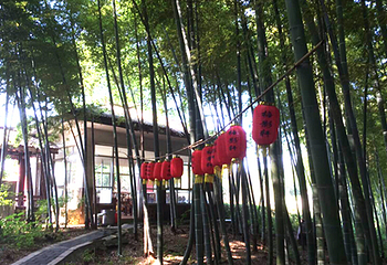 龙背山森林公园第 11 张图片