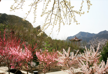 百里山水画廊第 57 张图片