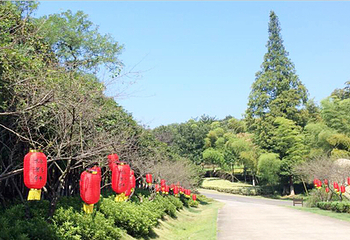 龙背山森林公园第 8 张图片