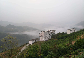 坡山村第 7 张图片