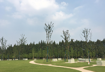 长兴岛郊野公园第 5 张图片