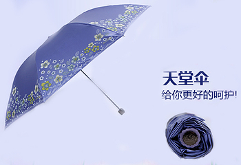 天堂伞第 3 张图片