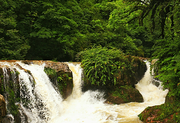 二郎山喇叭河风景区第 19 张图片