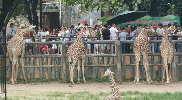 欢乐年华游乐园