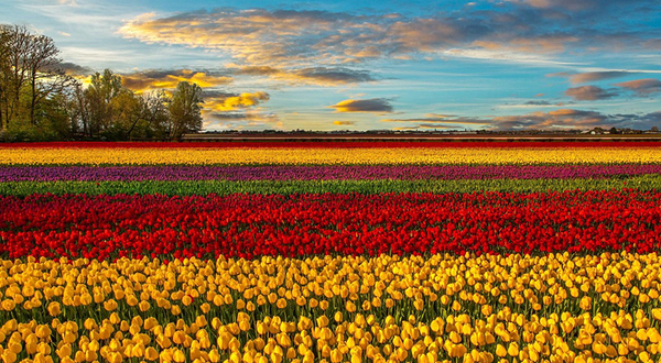 九龙山西游记乐园