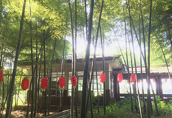 龙背山森林公园第 9 张图片
