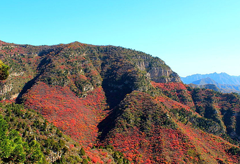 仙台山第 11 张图片