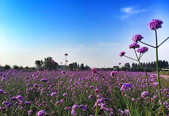可润农庄第 9 张图片