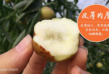 大荔冬枣第 2 张图片