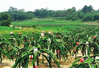 南宁花雨湖生态休闲旅游区第 3 张图片