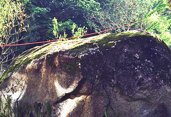 悠然山旅游度假区第 82 张图片