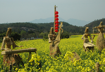 东莞百香岛生态农业旅游区第 3 张图片
