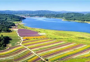抚顺浑河源湿地公园第 1 张图片