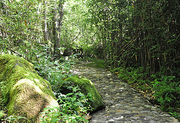 悠然山旅游度假区第 21 张图片