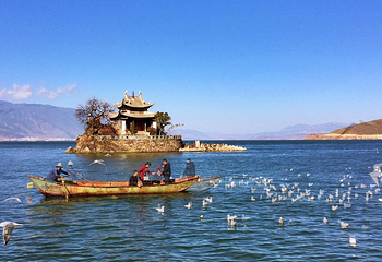 小普陀第 3 张图片