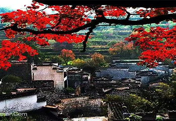 塔川第 44 张图片