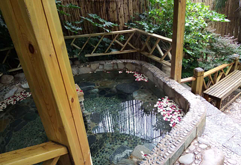 云涛森林温泉第 5 张图片
