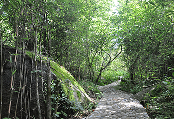 悠然山旅游度假区第 29 张图片