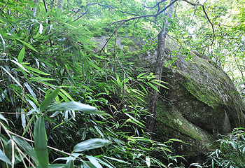 悠然山旅游度假区第 33 张图片