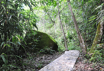 悠然山旅游度假区第 16 张图片